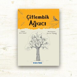 ARKADAŞLIK SERİSİ 6 KİTAP - 6