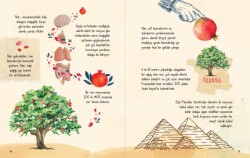 AYET AYET KEŞFET SERİSİ 3 KİTAP - 5