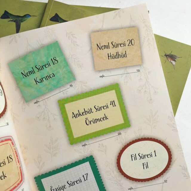 AYET AYET KEŞFET SERİSİ 3 KİTAP - 8