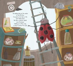 BÖCEK ASANSÖRÜ - 4