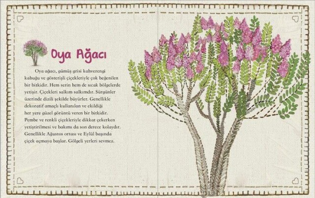 DOĞA PARMAKLARIMIN UCUNDA SET - 2