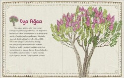 DOĞA PARMAKLARIMIN UCUNDA SET - 2