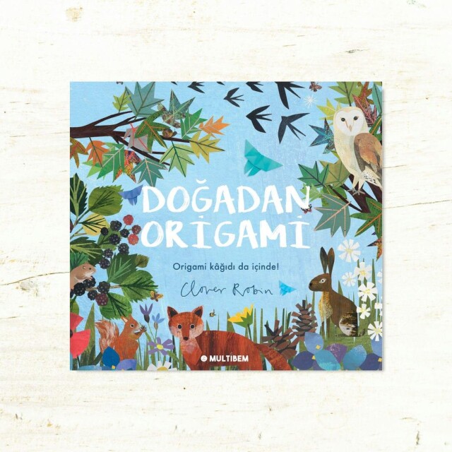 Doğadan Origami kitap kapağı