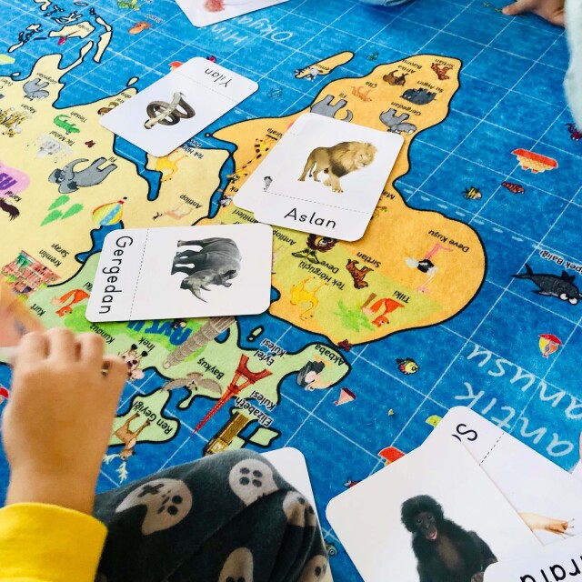 DÜNYA HARİTASI HALISI - 3