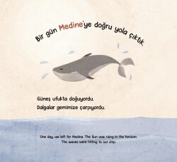 KARŞI KIYIYA YOLCULUK - 2