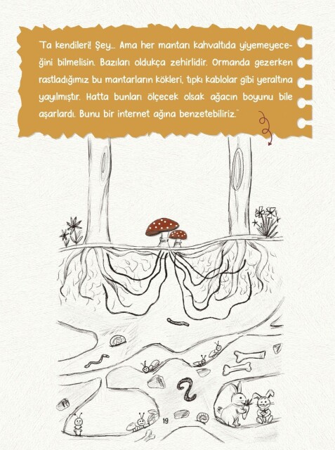 MAHİR İLE ARİF DEDE - 2