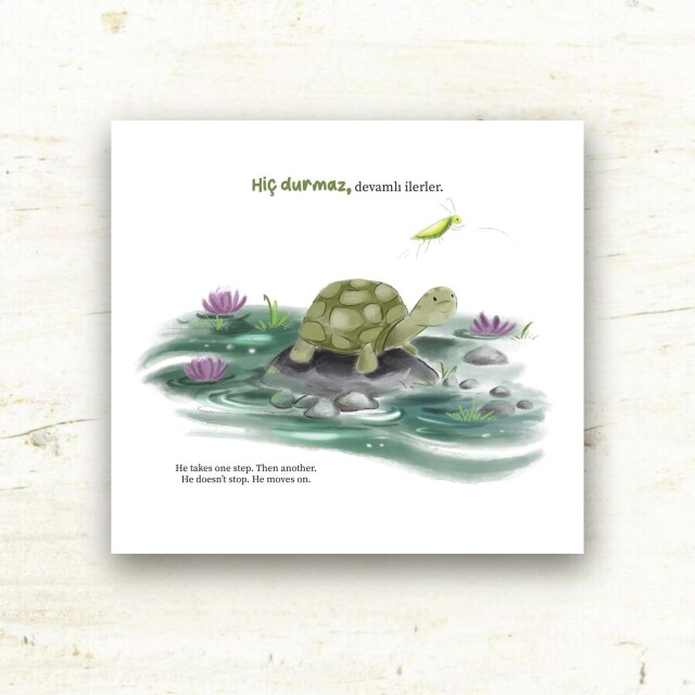 NEBO VE ARKADAŞLARI KAPLUMBAĞA - 4