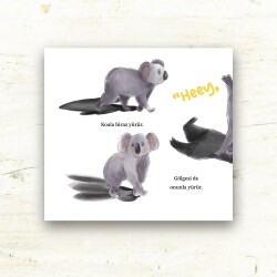 NEBO VE ARKADAŞLARI KOALA - 2