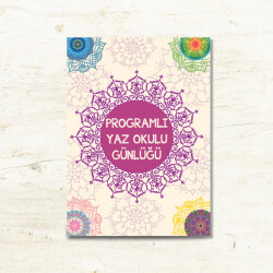 PROGRAMLI YAZ OKULU GÜNLÜĞÜ - Multibem