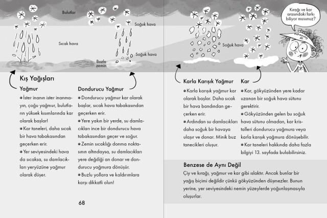 TİPİDE BİR KERTENKELE - HAVA KAŞİFİ ALİ - 4