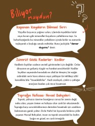 TOPRAK MUHAFIZLARI - 7