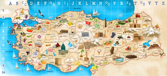 TÜRKİYE HALISI 80*180 - 2