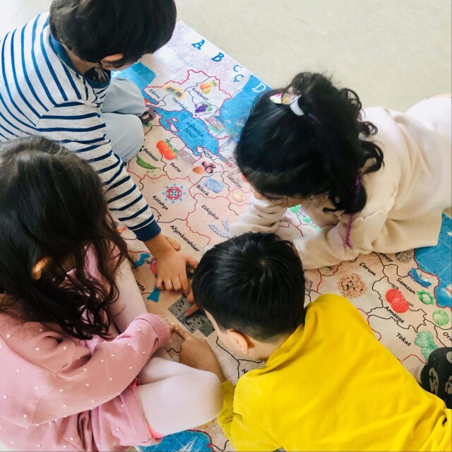 TÜRKİYE HALISI 80*180 - 3