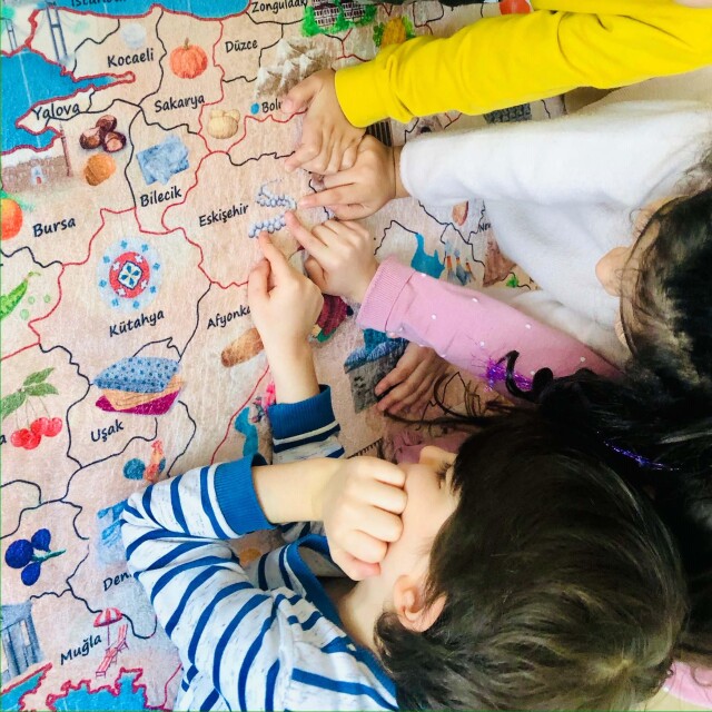 TÜRKİYE HALISI 80*180 - 5