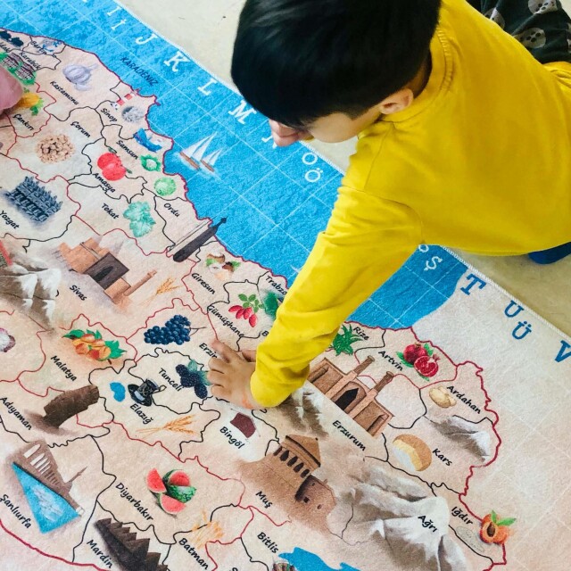 TÜRKİYE HALISI 80*180 - 6