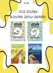 YAZ ŞENLİĞİ 6 - Multibem