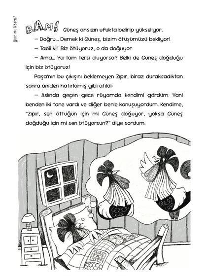 YİNE Mİ NEDEN? - 2