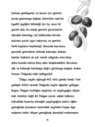 ZEYTİN AĞACININ FISILTISI - 2